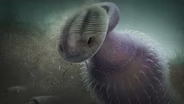 How Worm Holes Ended Wormworld