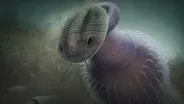 How Worm Holes Ended Wormworld