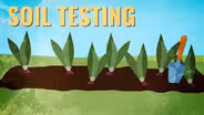 Soil Testing