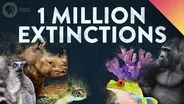 1 MILLION Species Could Go Extinct… Here’s Why.