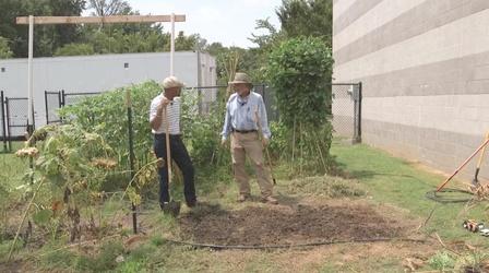 Video thumbnail: The Family Plot Trees with Fall Color & Planting a Fall Garden