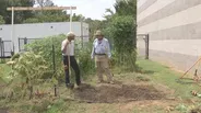 Trees with Fall Color & Planting a Fall Garden