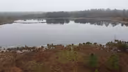 Reclaimed Land on the Mattaponi
