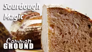 Sourdough Magic