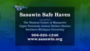 Sasawin Safe Haven