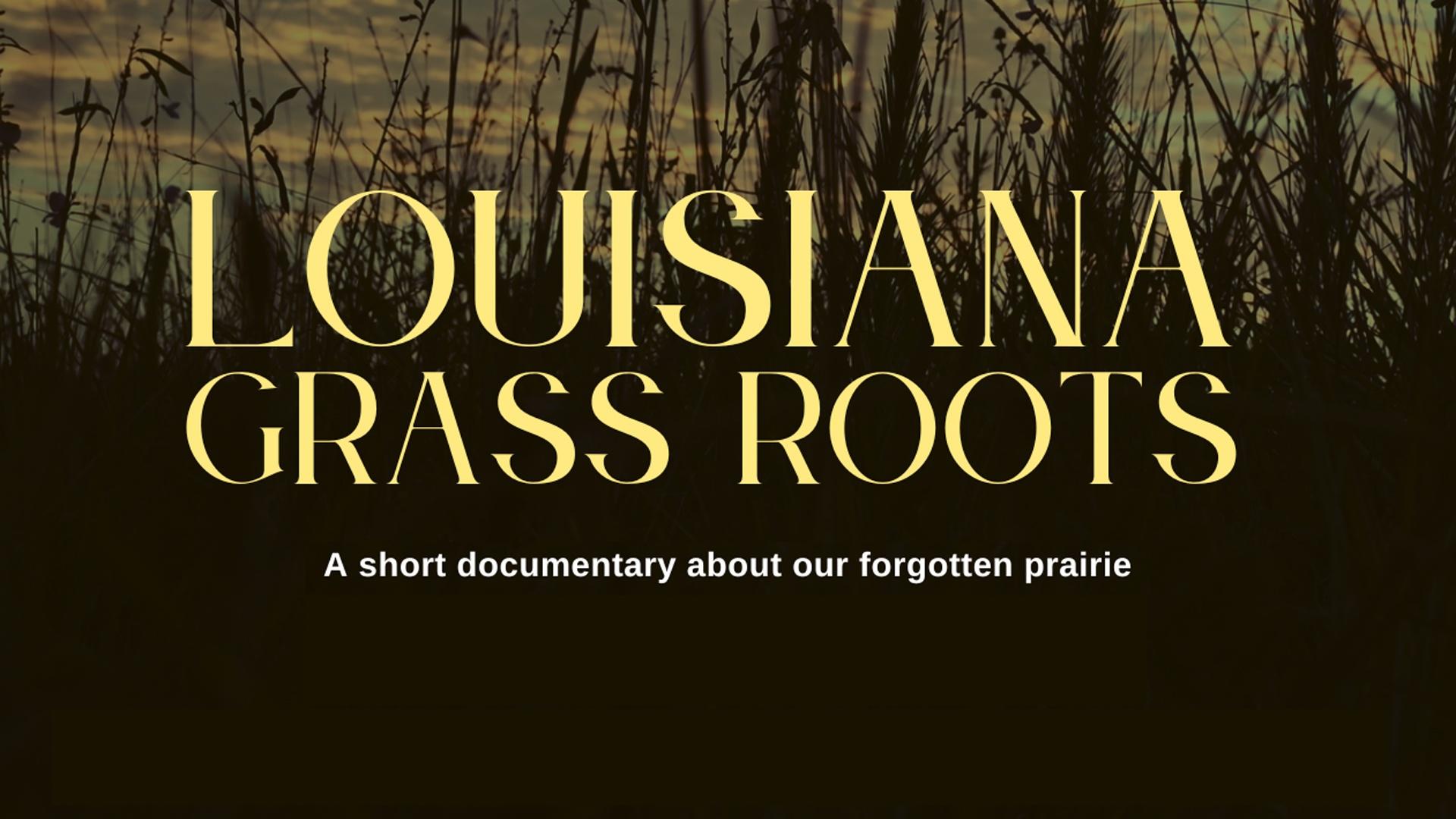 An exploration the Cajun Prairie ecosystem of Southwest Louisiana and the efforts to restore it.