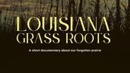 Louisiana Grass Roots