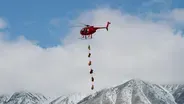 Bighorn Sheep Relocation
