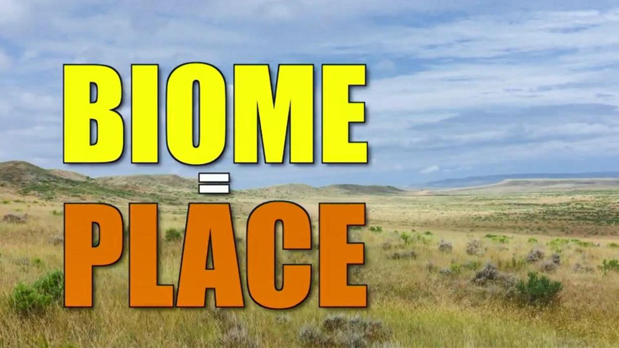 BIOME SWEET BIOME / REDUCE REUSE RECYCLE Watch on Alabama Public