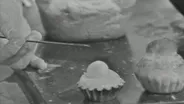 Brioches