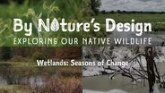 Wetlands: Seasons of Change