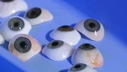 Artistic Eye