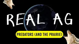 Predators and the Prairie