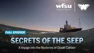 Secrets of the Seep | A Voyage into the Mysteries of Ocean Carbon