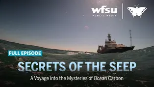 Secrets of the Seep | A Voyage into the Mysteries of Ocean Carbon