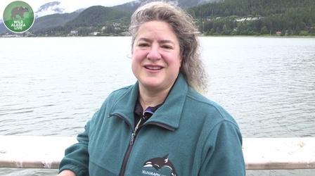 Dr. Joy Reidenberg on Orcas