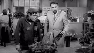 Little Shop of Horrors (1960)