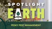 Pesky Pest Management