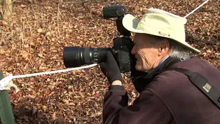 Former Fashion Photographer Finds Beauty in Nature
