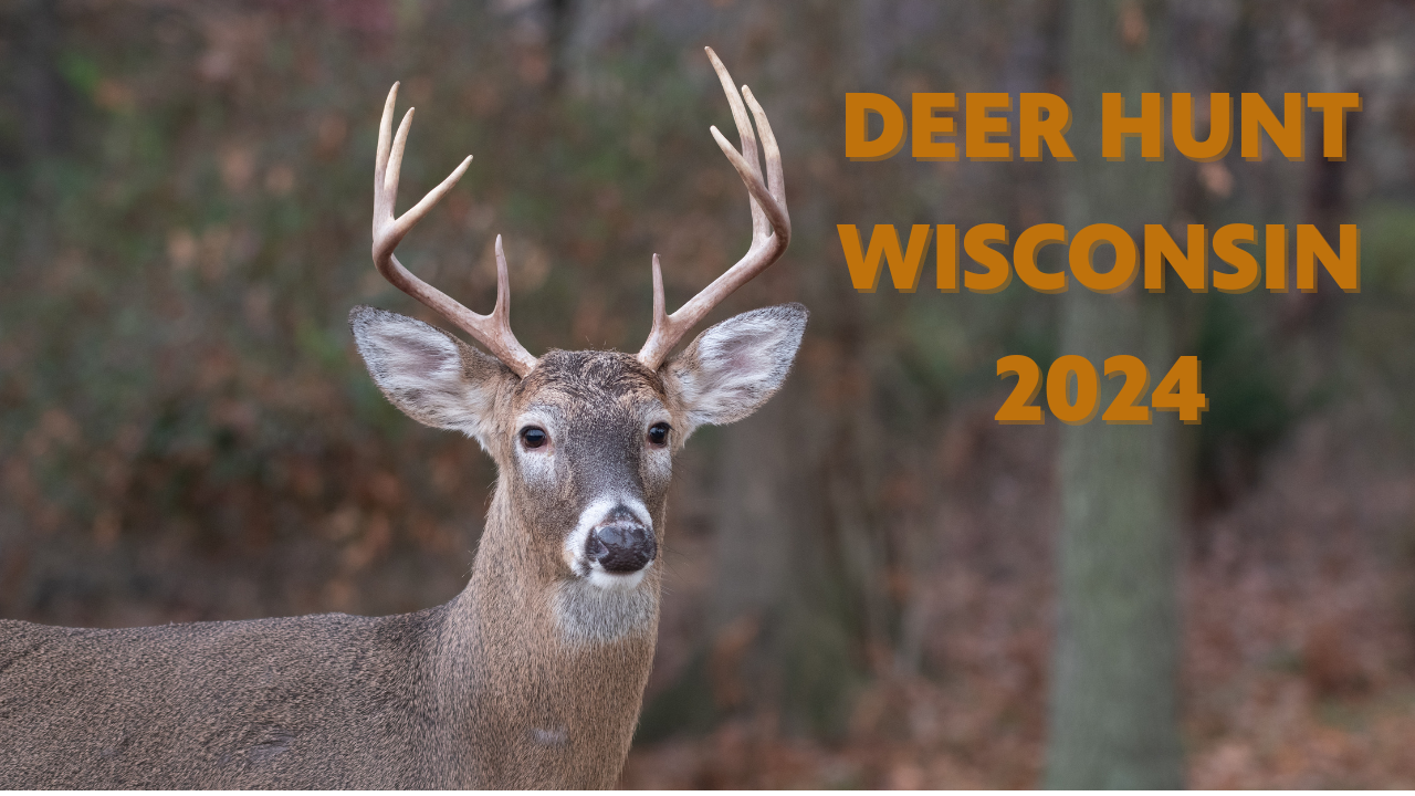 Milwaukee PBS Specials Deer Hunt Wisconsin 2024 Cascade PBS