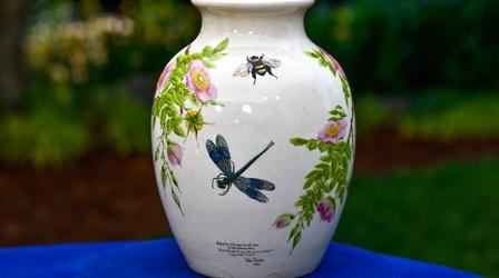 Video thumbnail: Antiques Roadshow Appraisal: 1880 Celia Thaxter Hand-painted Vase