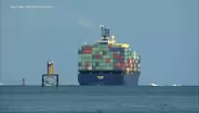 Rep. Pallone: Speeding cargo ships killing whales