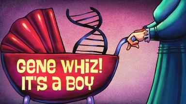 The Gene Explained | Gene Whiz! It's a Boy!
