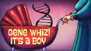 The Gene Explained | Gene Whiz! It's a Boy!