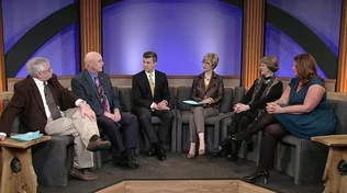 Former Lawmaker Panel