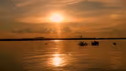 Brazil’s Pantanal: Wetlands and Wildlife