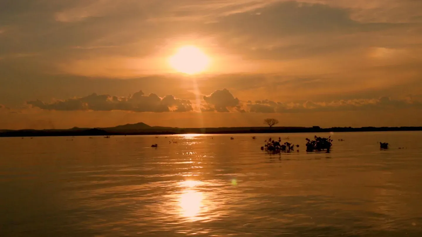 Brazil’s Pantanal: Wetlands and Wildlife