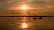 Brazil’s Pantanal: Wetlands and Wildlife