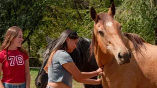 These Rescued Horses Have a Powerful Lesson for Teen Girls