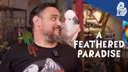 Feathers and Futures: Welcome to Albatross Aviary