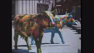 Web Extra: Cows on Parade