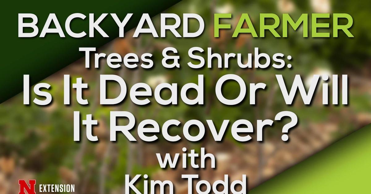 Backyard Farmer Hydroponic Gardening & Dead and Dying Trees & Shrubs