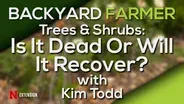 Hydroponic Gardening & Dead and Dying Trees & Shrubs