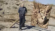 Saving Reptiles: Inside the World of a Nevada Herpetologist