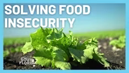 Solving Food Insecurity