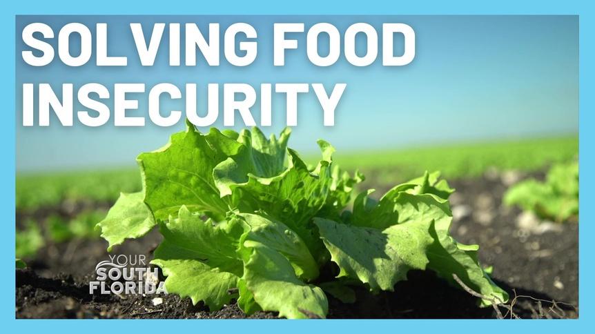 Solving Food Insecurity l Your South Florida