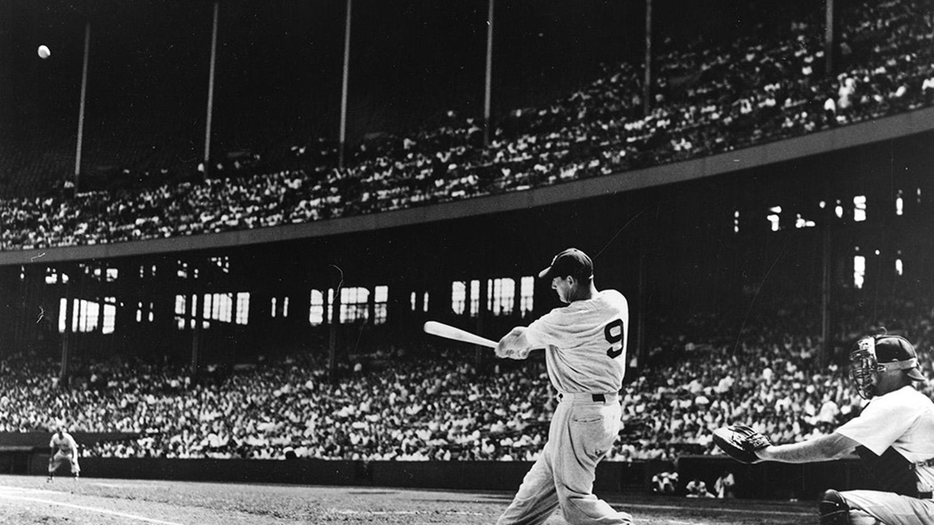 Ted Williams and perception