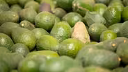 Avocado Wars: The Battle Over Water Rights In Chile