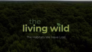 Habitats We Have Lost