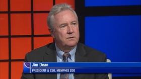 Video thumbnail: Behind the Headlines Memphis Zoo Renovations and Changes