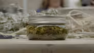 The Making of Traditional Plant Medicine