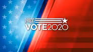 Primary Election 2020