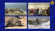 A Decade of Destinations – California's Coast