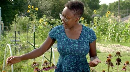 Video thumbnail: Virginia Home Grown Choosing Plants for Your Garden
