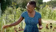 Choosing Plants for Your Garden