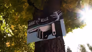 Episode 506